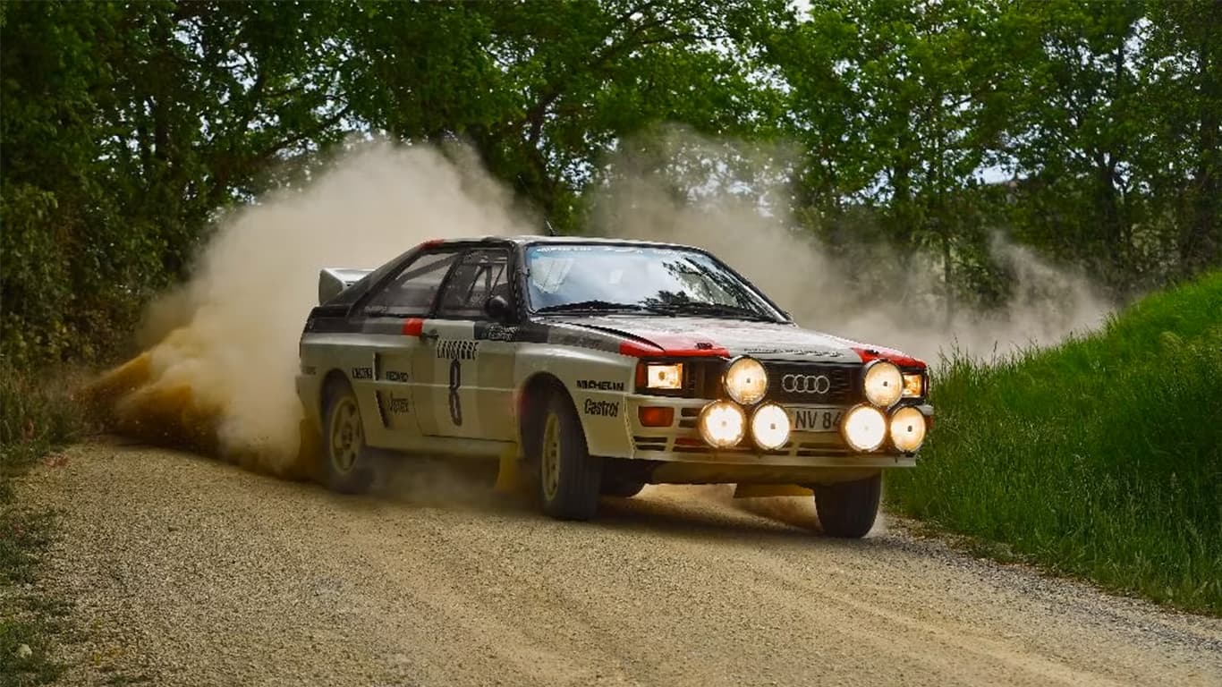 Mark Higgins Portrait